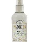 Gin Dry Florida 700ml